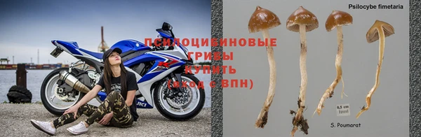 Альфа ПВП Балабаново