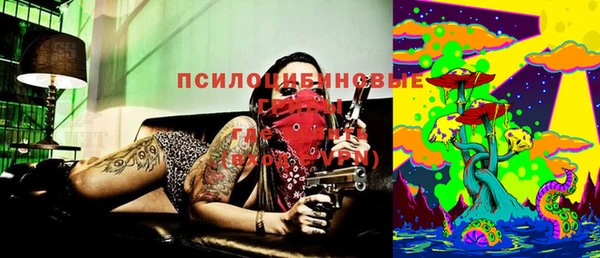 ешки Аркадак