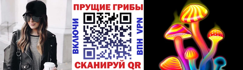 как найти Новотроицк Галлюциногенные грибы Cubensis
