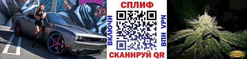 как найти Новотроицк Шишки марихуана сатива